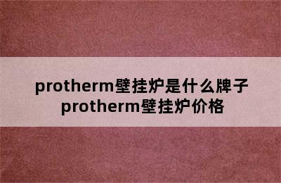 protherm壁挂炉是什么牌子 protherm壁挂炉价格